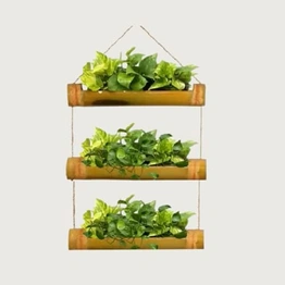 Three Steps Bamboo Planter