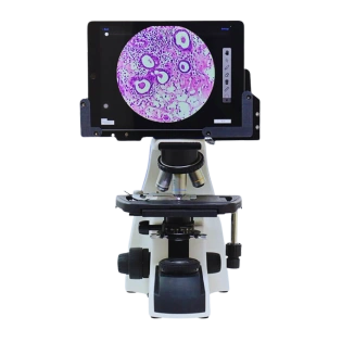 Microscopes