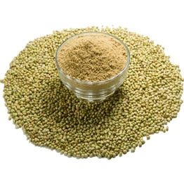 Coriander