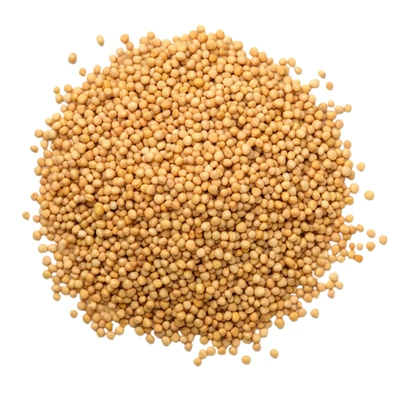 Yellow Mustard Seeds