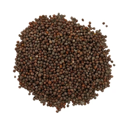 Black Mustard Seeds