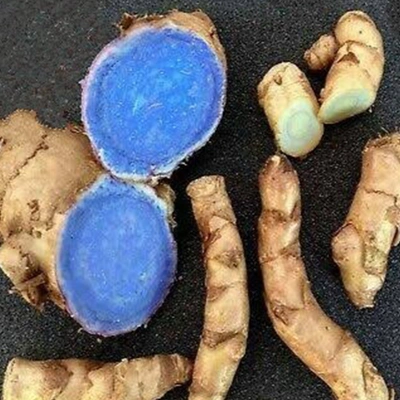 Black Turmeric