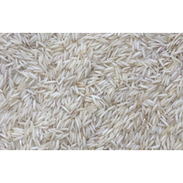 Basmati Rice 1509