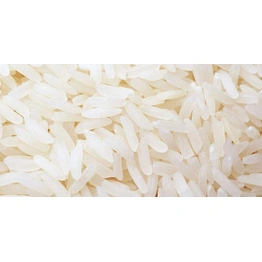 Non Basmati Rice BPT