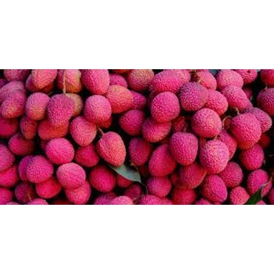 Litchi