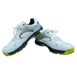 Sega New Predator Rubber Spikes Cricket Shoes for Men