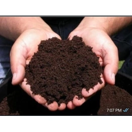 vermicompost fertilizer