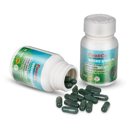 FOODCO Organic Spirulina Capsules, Rich In Antioxidants, Immune Support, High In Amino Acids Certified & Natural Gluten-free High Source Of Vitamin & Protein Immunity Booster (Box Contain 60 capsules)