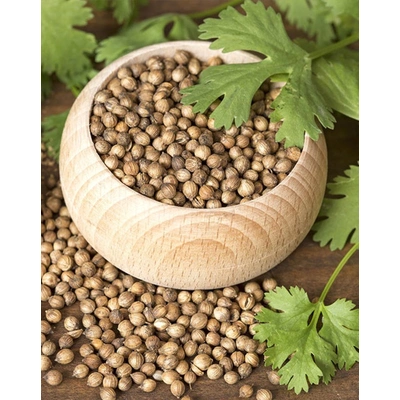 Coriander Seeds