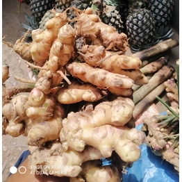 fresh ginger