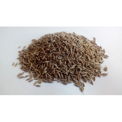 Cumin Seed