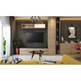 A Living Room Design With A TV Unit Designed With Open And Closed Storage