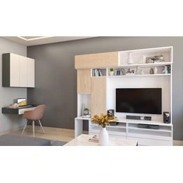 A Multifunctional Living Room With A TV And Study Unit