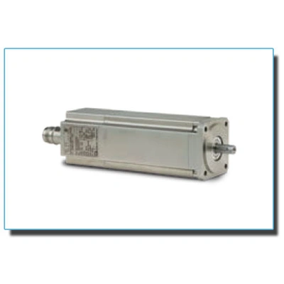 Ac Brushless Stainless Steel Motors (Ssbsm)