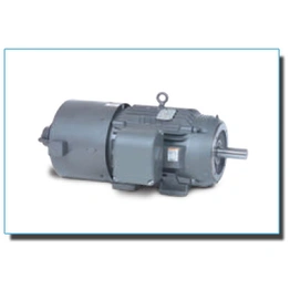 Ac Inverter / Vector Duty Motors