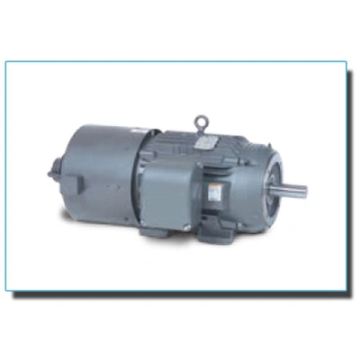 Ac Inverter / Vector Duty Motors