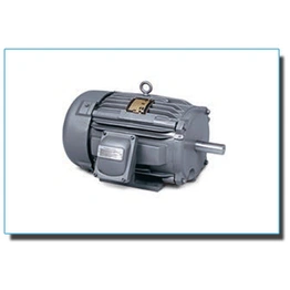 Explosion Proof, Inverter Duty Motors