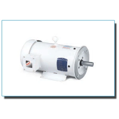 White Washdown Motors