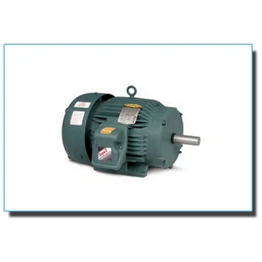 General Severe Duty Motors