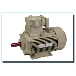 High Efficiency Flameproof Motors