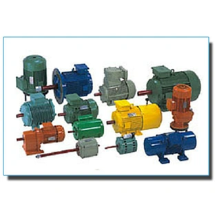 Special Application Motors