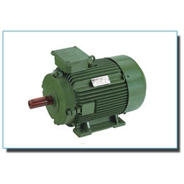 Inverter Duty Motors