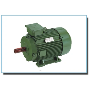 High Efficiency Standard Motors