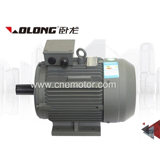 YE3/YE4/YE5 high efficiency asynchronous induction motor