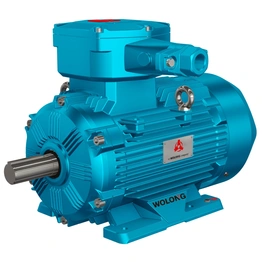 YBX5/YBX4/YBX3 Low voltage explosion-proof motor