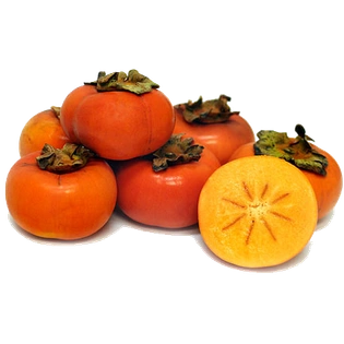 Persimmon