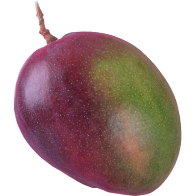 Pairi Mango