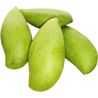 Totapuri Mango