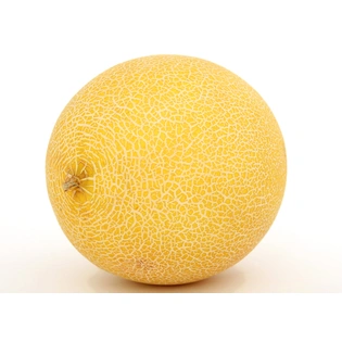 Muskmelon