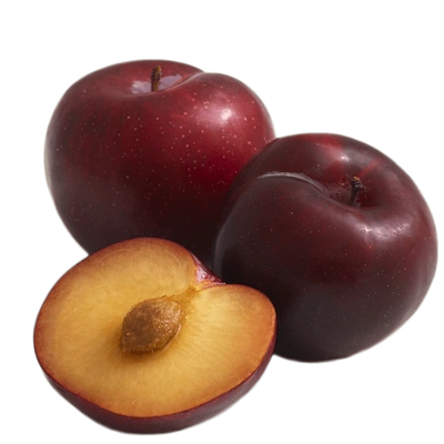 Plum - Indian