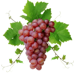 Red Globe Grapes - Imported