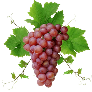 Red Globe Grapes - Imported