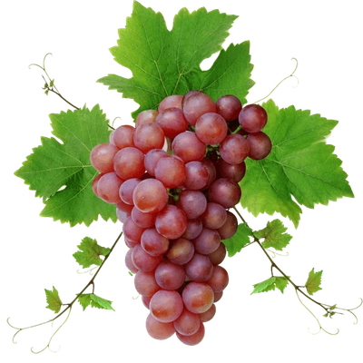 Red Globe Grapes - Imported