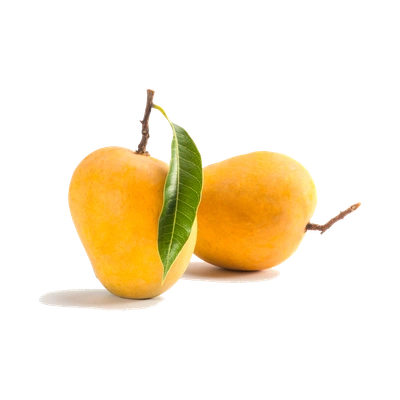 Alphonso Mango