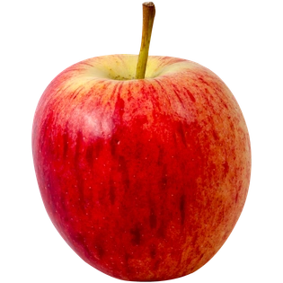 Apple Shimla