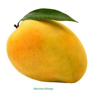 Badami Mango