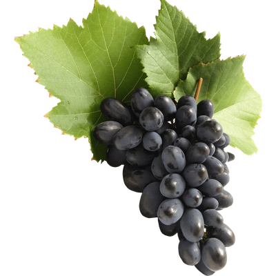 Black Grapes