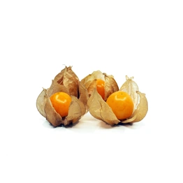 Cape Gooseberry