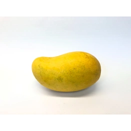 Chausa Mango