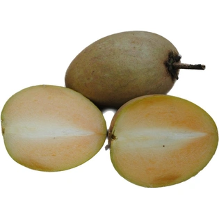 Chickoo ( Sapota )