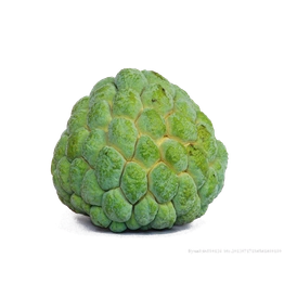 Custard Apple