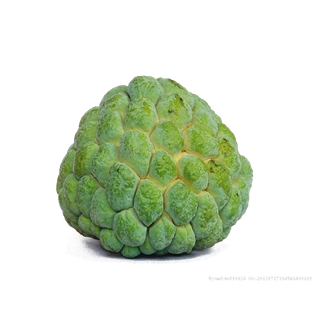 Custard Apple