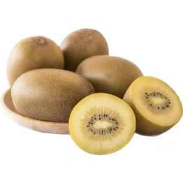 Golden Kiwi - Imported