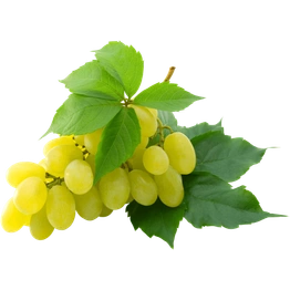 Green Grapes