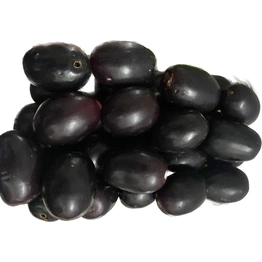 Jamun