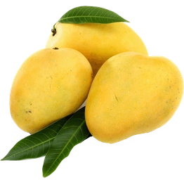 Kesar Mango